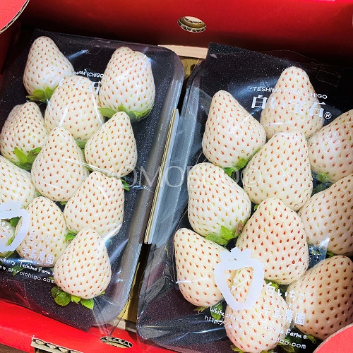 White Strawberries from Japan One of Japanese Luxury Fruits
